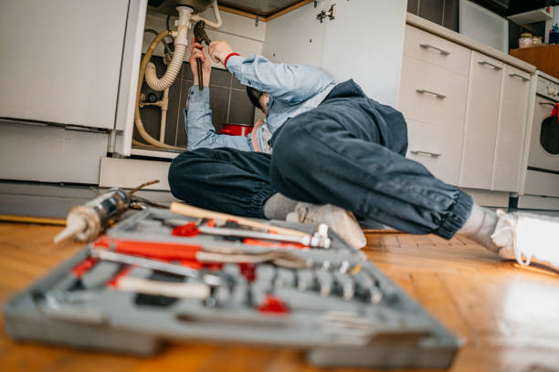 Best Local Plumber Services  in Caledonia, MI