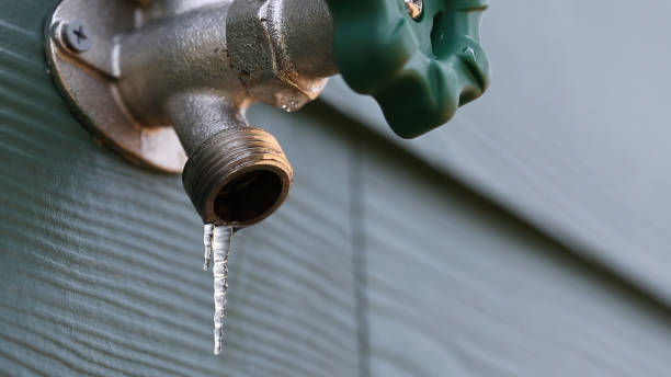 Best Affordable Plumber Near Me  in Caledonia, MI